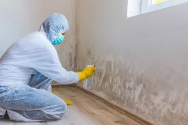 Professional Mold Removal & Remediation in Fairmont City, IL