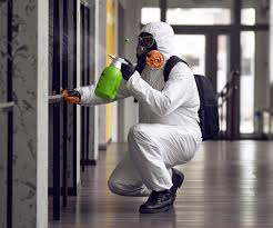 Best Residential Mold Inspection & Testing  in Fairmont City, IL